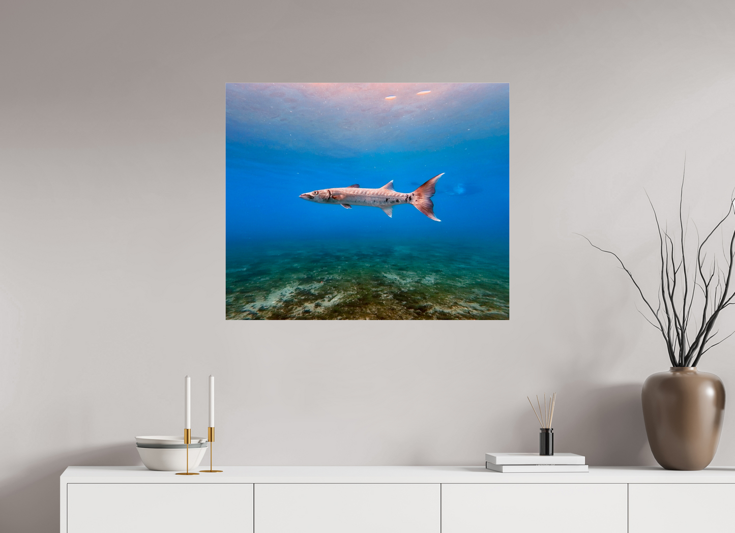33.5 x 28″, Photo Print Under Acrylic Glass Barracuda