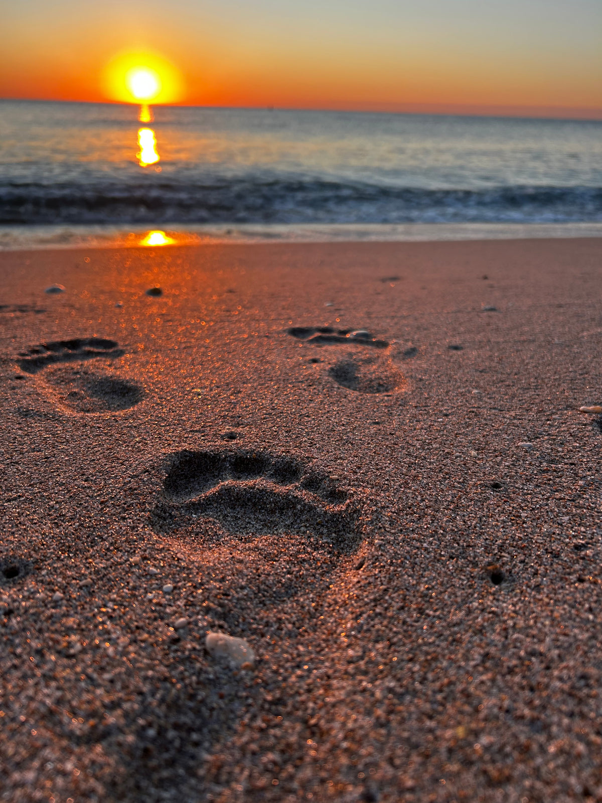 Foot Print into sunrise