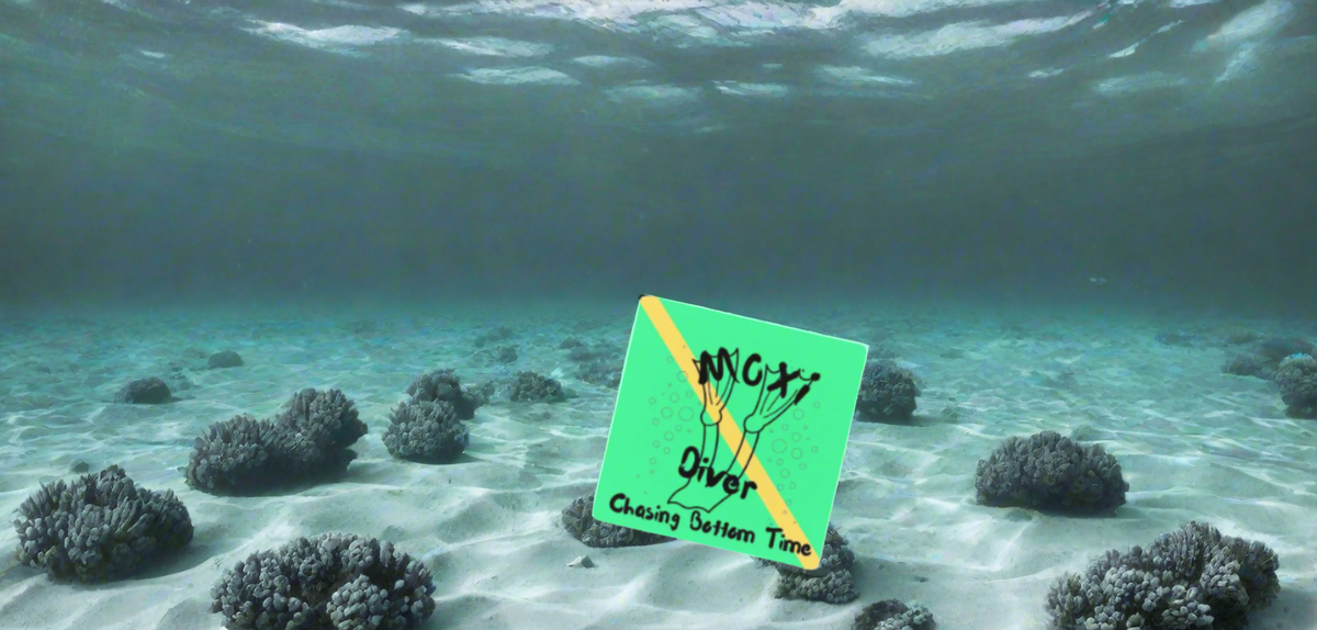 Moxi Diver