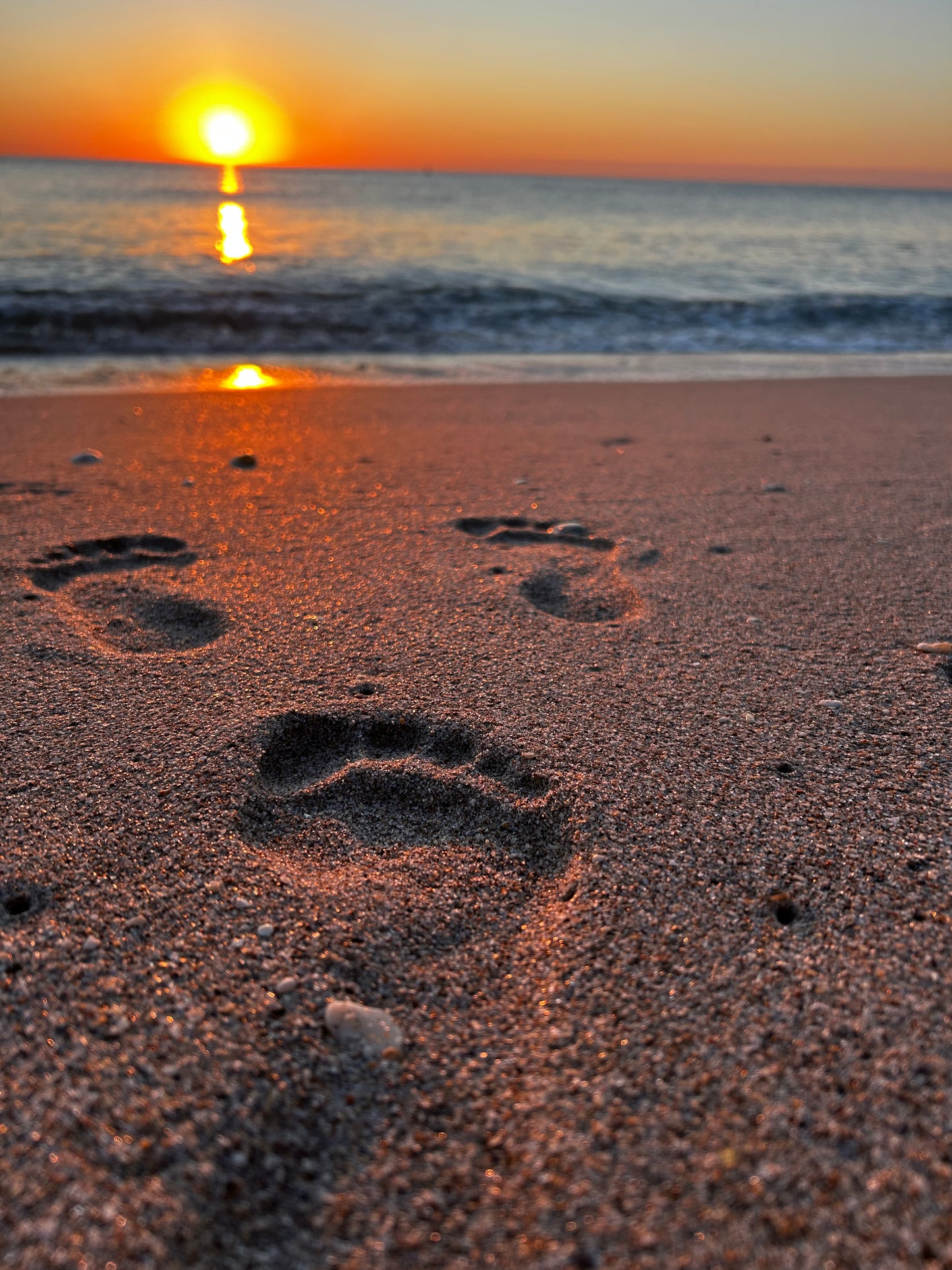 Foot Print into sunrise