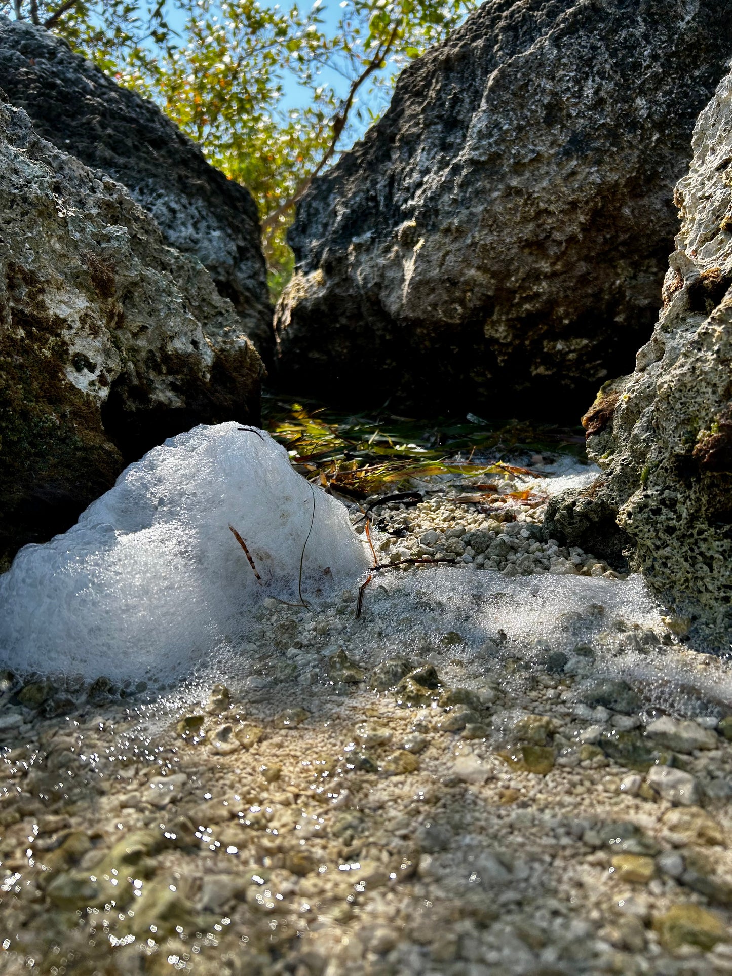 Sea Foam