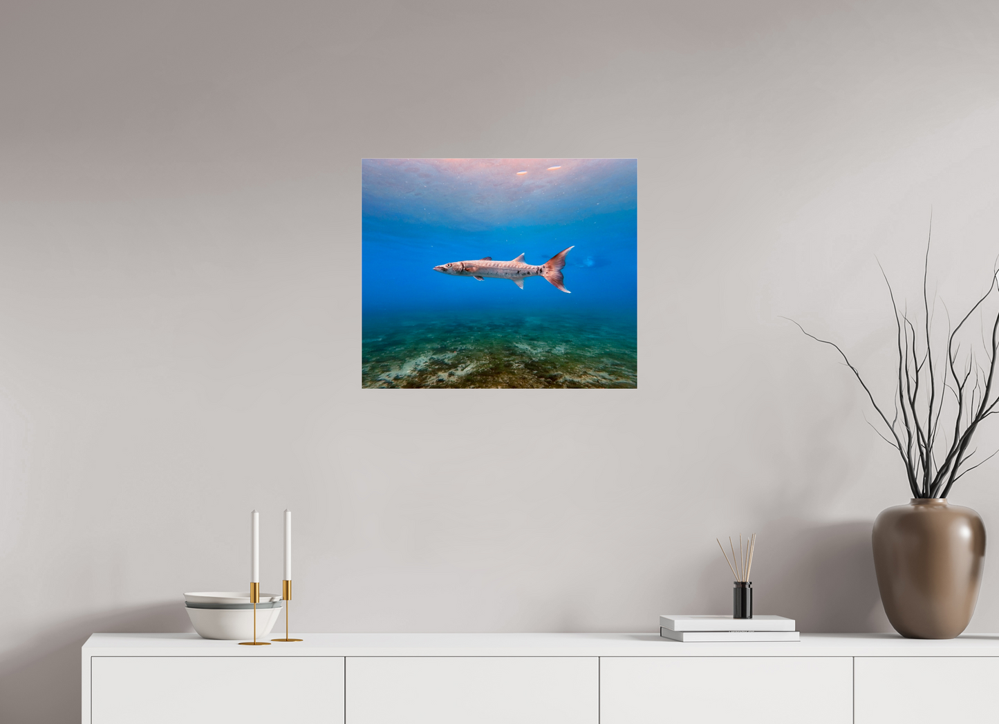 23.9 x 20″, Photo Print Under Acrylic Glass Barracuda